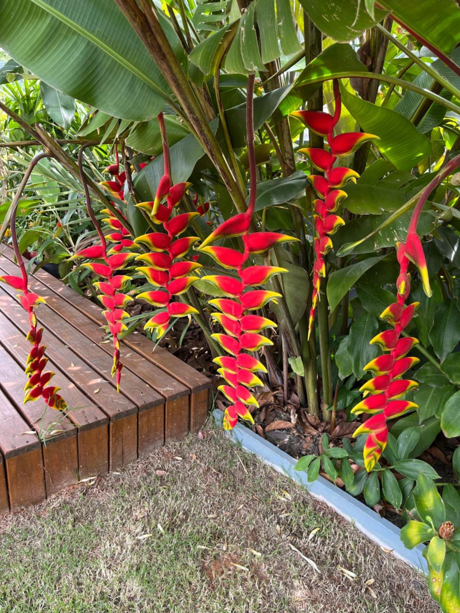 Bella Pousada Pomerode Esterno foto